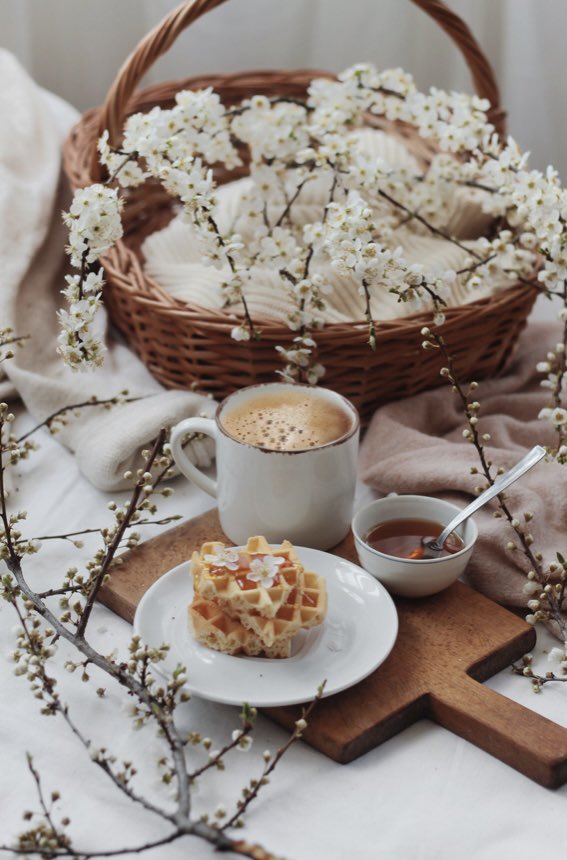 Who's ready for Spring? 🌸🙋🏽♀️✨ https://t.co/vjFkPlcAGG

@MidnightMerkaba