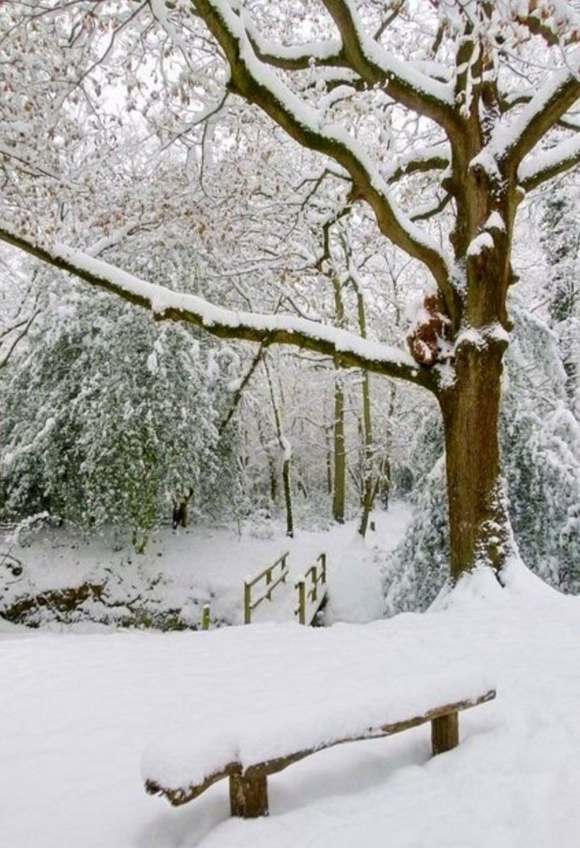 ❄️☃️ https://t.co/KuPobjGQwc

@Traveler07S