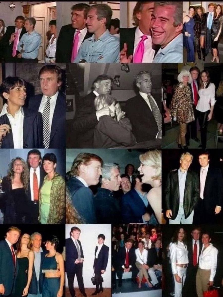 I'm gonna post this every day so nobody forgets exactly who Pedophile Trump is and why the Epstein files have suddenly disappeared. 