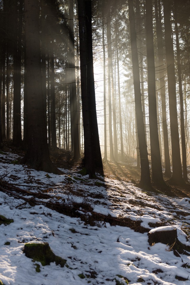 Good morning  https://www.tumblr.com/florianpainkesblog/800939520367427584/shine-on-2015-11-27