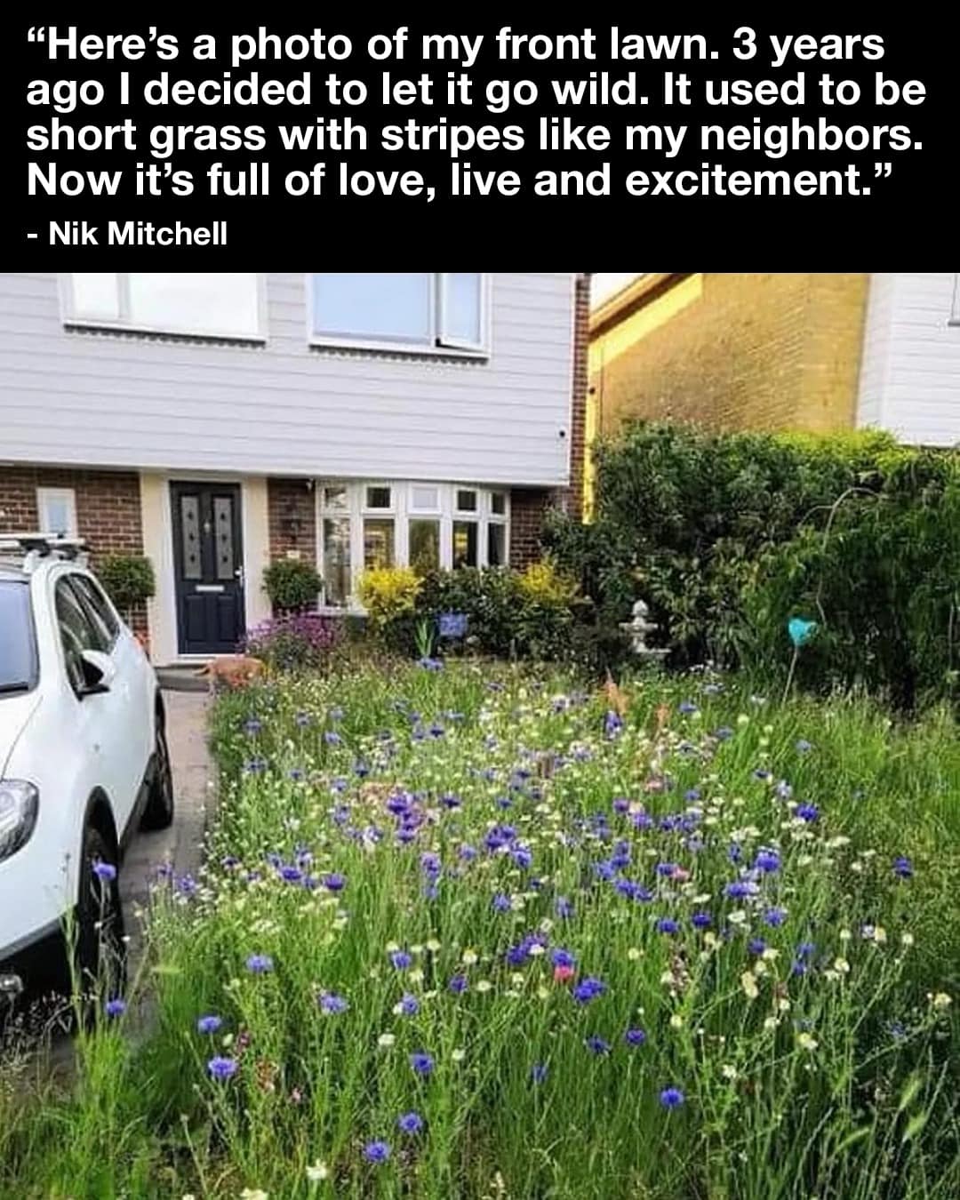 **Happy Gardens:** 🥀🪻🌾🎋  https://www.facebook.com/photo/?fbid=429493119703920&set=a.238809735438927