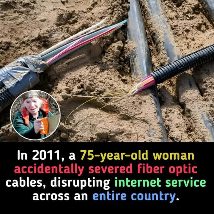 **Kat Griffith:**   https://www.facebook.com/photo/?fbid=3750523281943719&set=gwww.913876676906881&idorvanity=815523130075570