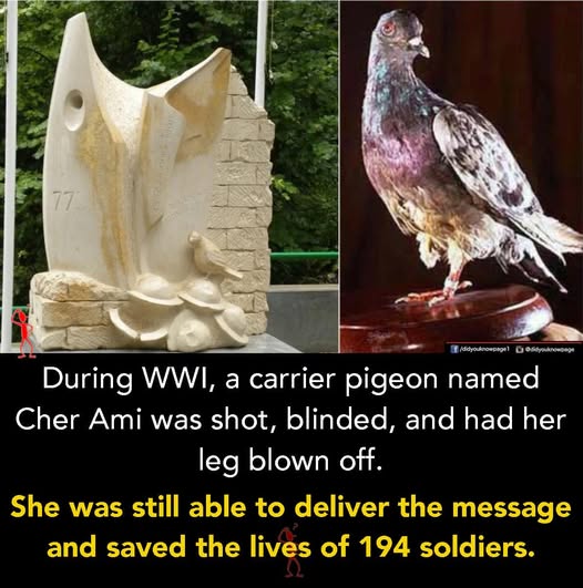 **All About USA:**   https://www.facebook.com/photo/?fbid=684437671031449&set=gwww.591323480189275&idorvanity=357876766867282