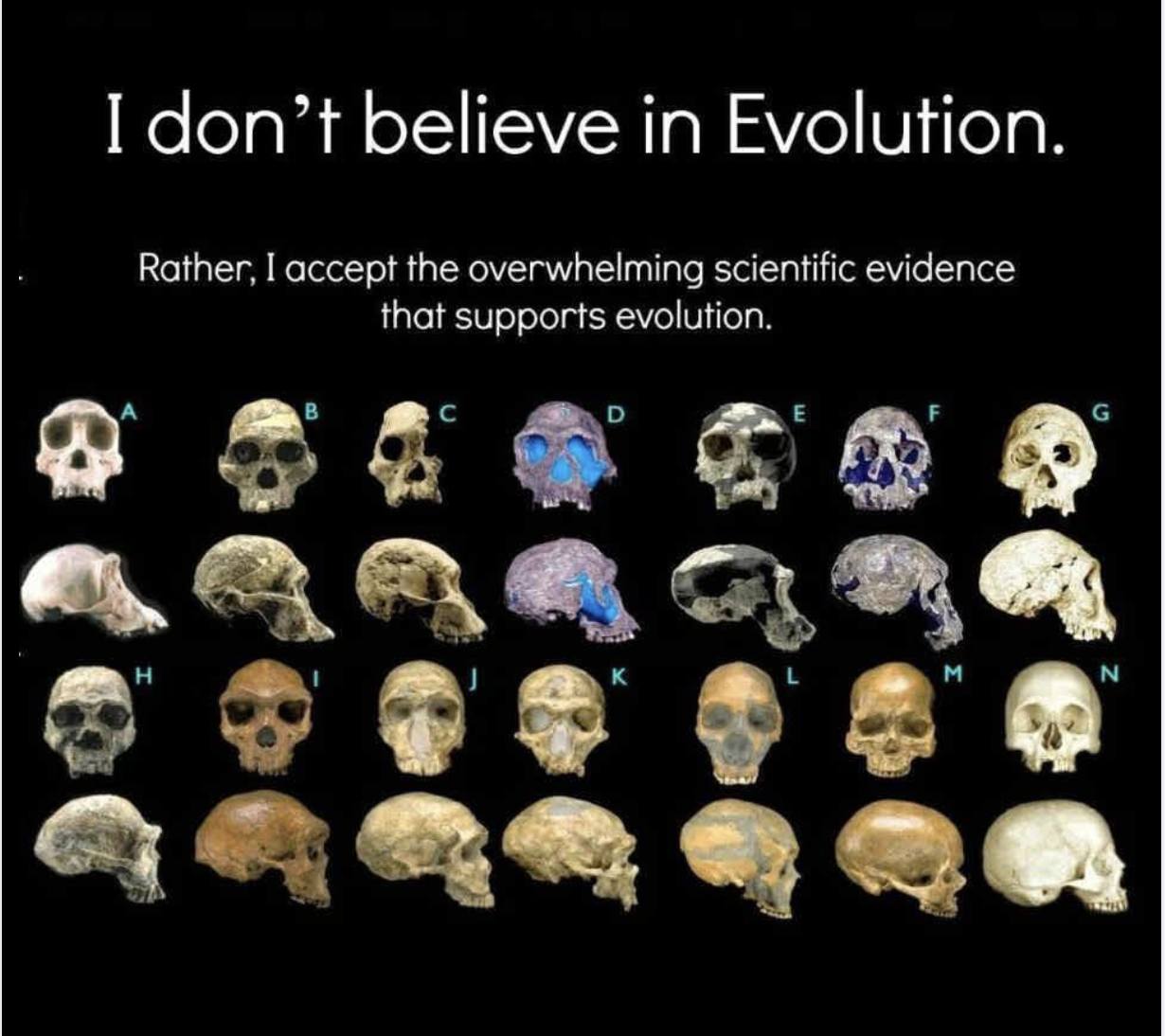 Evolution  https://www.facebook.com/photo/?fbid=1232994048862103&set=a.671839658310881