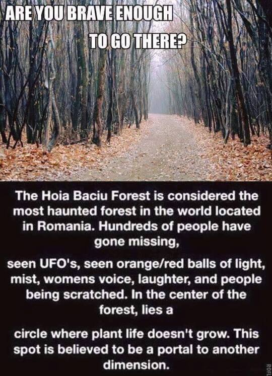 Are you brave enough?