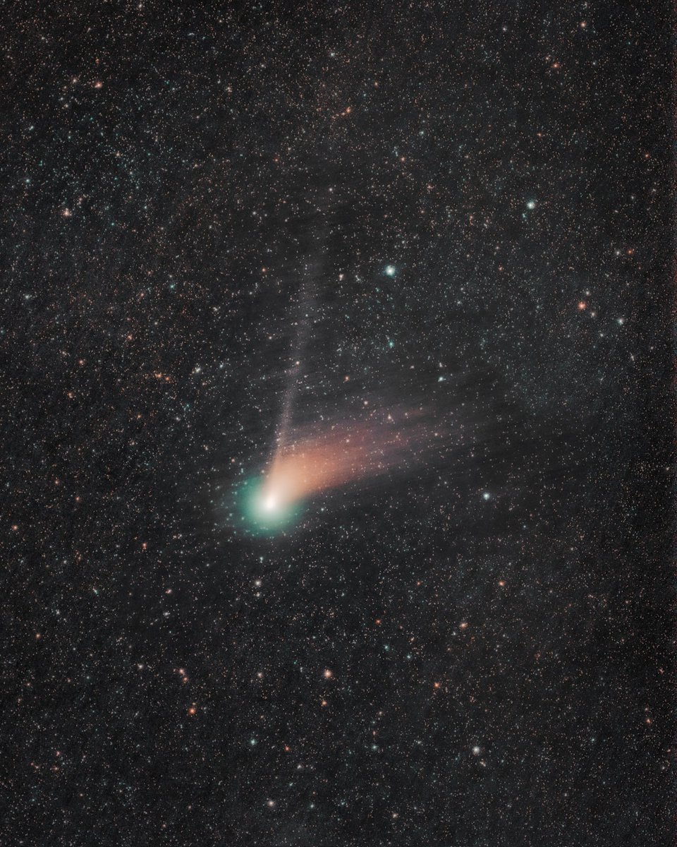 Had some clear skies this past weekend and finally got a good chance to take a picture of the comet! 🔭☄️ https://t.co/w6LVEkd5E5

@jasonoyoung