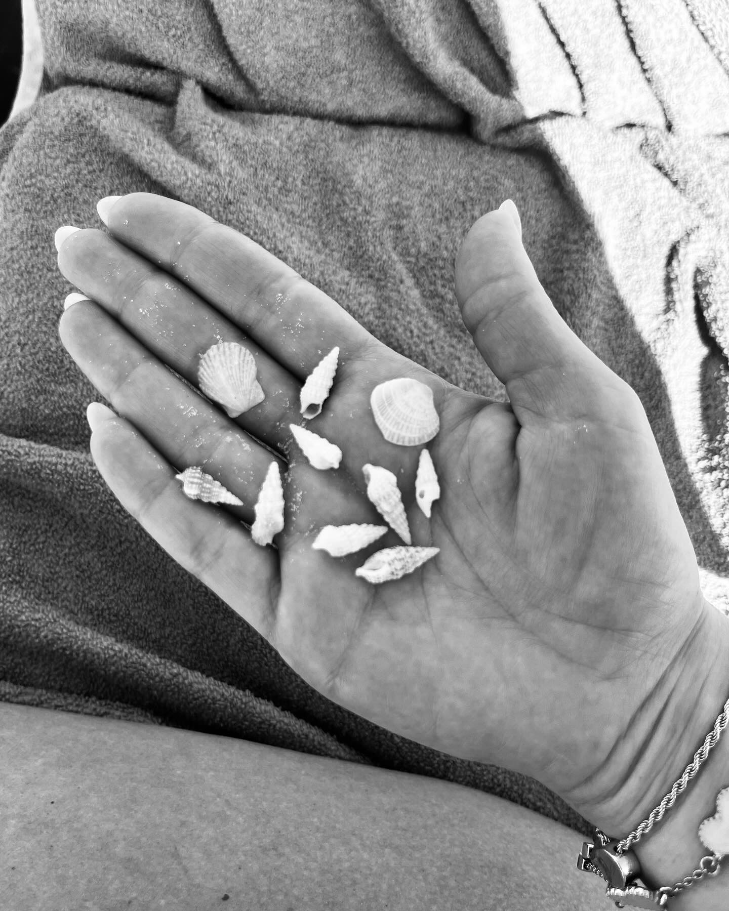 🐚 🌞<br> @tara_mccallum
