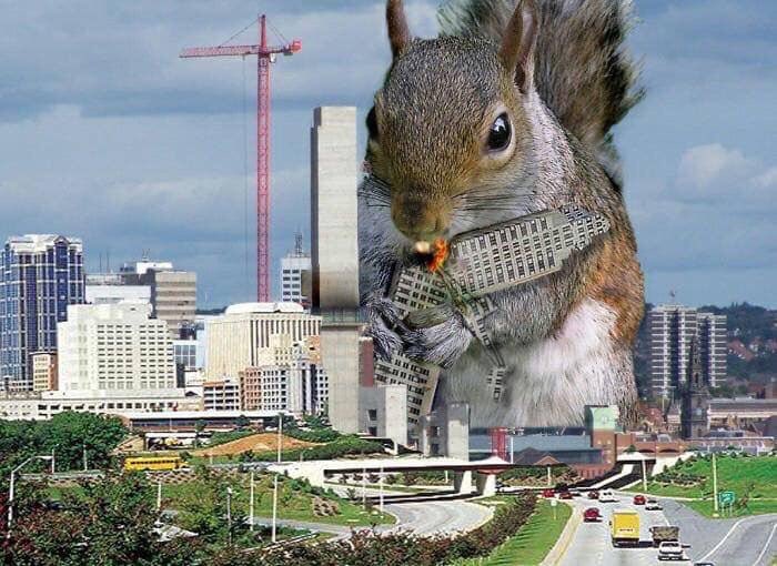 Squirrelzilla attacks the world #Ruin2022In4Words