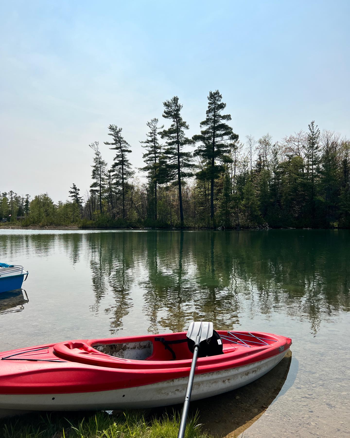 Victoria Weekend Photo Dump🏕️

!Elmwood, Ontario!  @melissafro