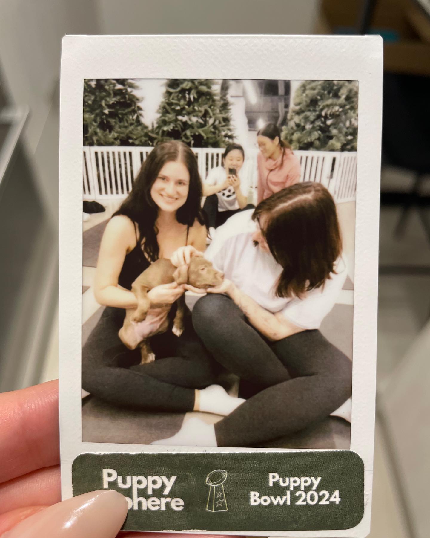 Mental Health 🫱🏻🫲🏼 Puppy Yoga

!The Well Toronto!  @melissafro