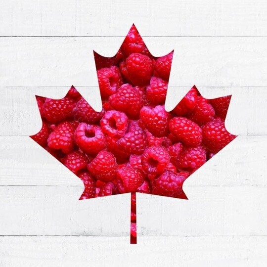 Looking for recipe inspiration for your Canada Day celebrations? 

Click the link in our bio for Canada Day recipe ideas!foodlandontario