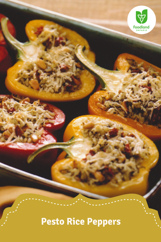 Pesto Rice Peppers
Pesto Rice Peppers
Brighten up your meal with Pesto Rice Peppers! Stuff vibrant Ontario Greenhouse Peppers with a aromatic pesto rice mixture for a versatile dish that pairs beautifully with chicken, turkey, lamb, or pork, and works wonderfully as a meatless main.
https://www.ontario.ca/foodland/recipes/pesto-rice-peppers
