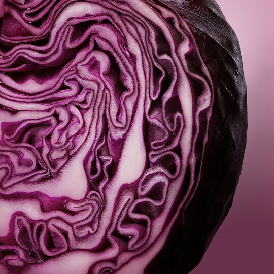 Cabbage is a great way to add a hint of crisp freshness to your winter salads. 

What's your favourite way to enjoy Ontario Cabbage?

#loveONTfoodfoodlandontario