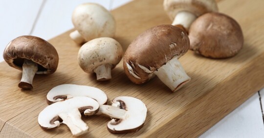 Ontario mushrooms are a versatile and flavourful vegetable that enhance any meal. Enjoy them in salads, soups, omelettes, frittatas and as toppings on pizzas and burgers. 
@mushrooms.cafoodlandontario