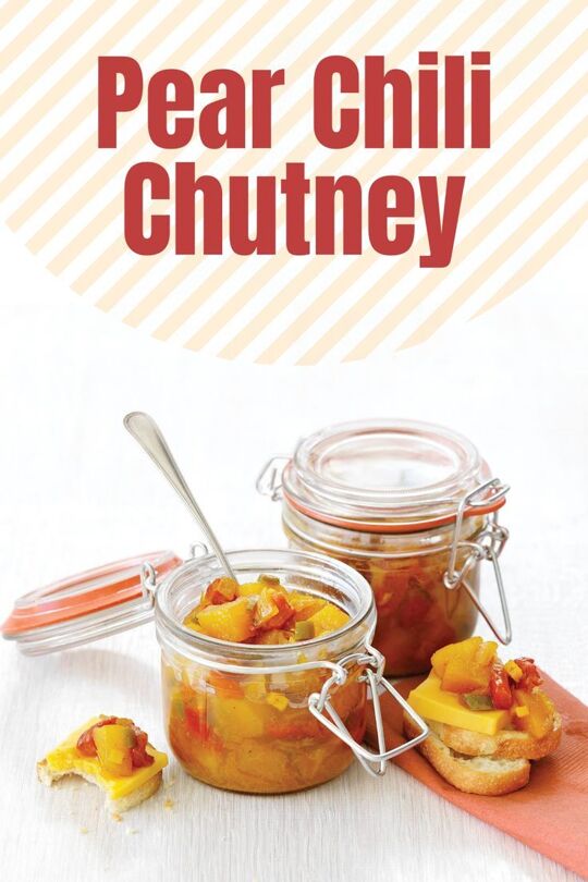 Pear Chili Chutney
Pear Chili Chutney
We have a feeling you're going to fall in love with this spicy Pear Chili Chutney. A perfect accompaniment for cold meats, or served on crackers as an appetizer, this refreshing chutney is sure to please.
https://www.ontario.ca/foodland/recipes/pear-chili-chutney