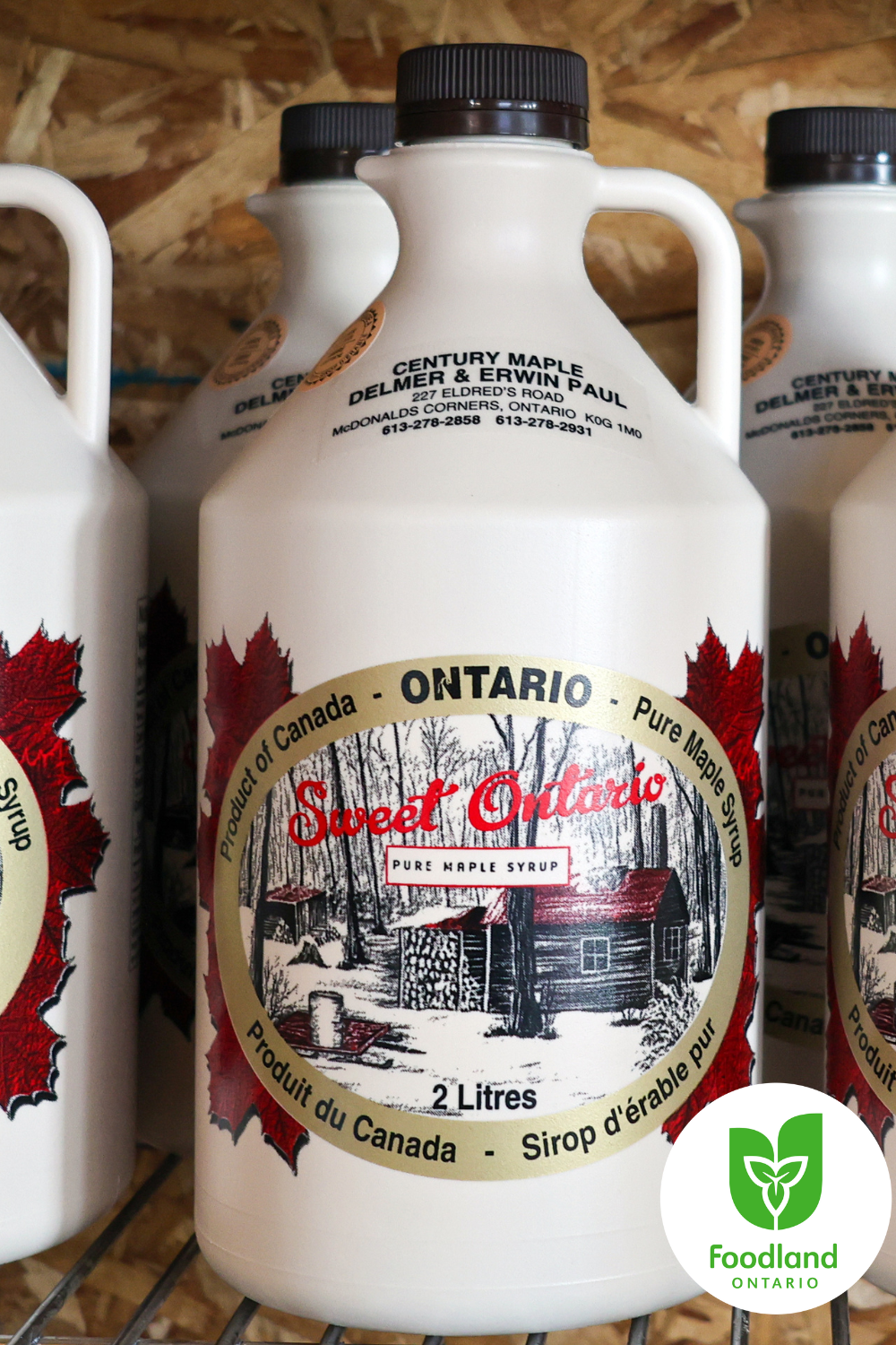 Century Maple
Century Maple
Nestled in the heart of the maple-rich landscapes, this family-owned farm has been traditionally crafting maple syrup products for generations. 

Dive into the irresistible sweetness of Century Maple's goodness! Whether enjoyed on a Sunday morning with pancakes or incorporated into your go-to dishes, let the rich flavor of their syrup bring warmth and satisfaction to every bite.
#loveONTfood
#LookforFoodlandOntario 

https://centurymaple.ca/