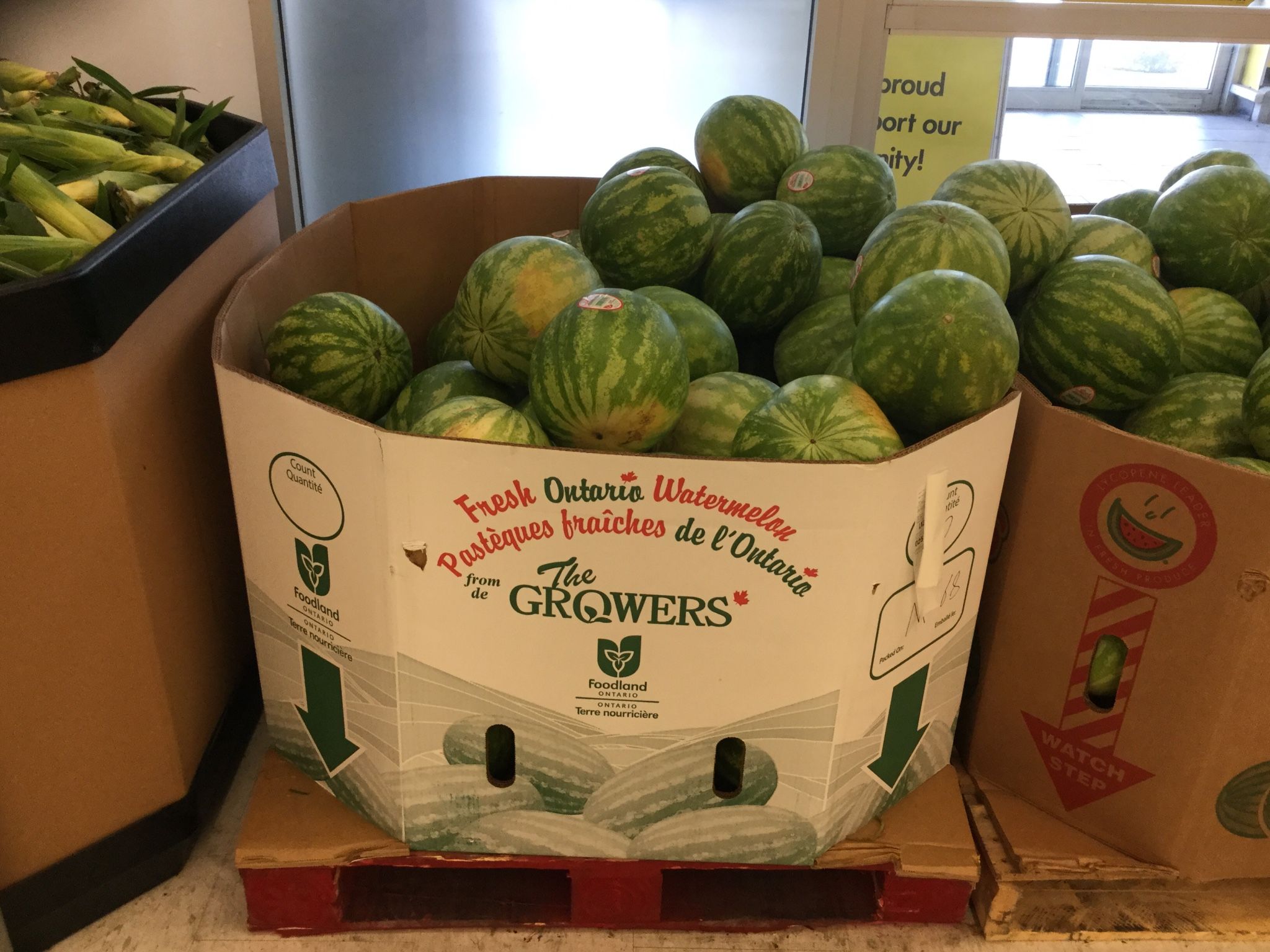 Break open an Ontario watermelon on a hot day for a refreshing treat. Find them at the in store today!