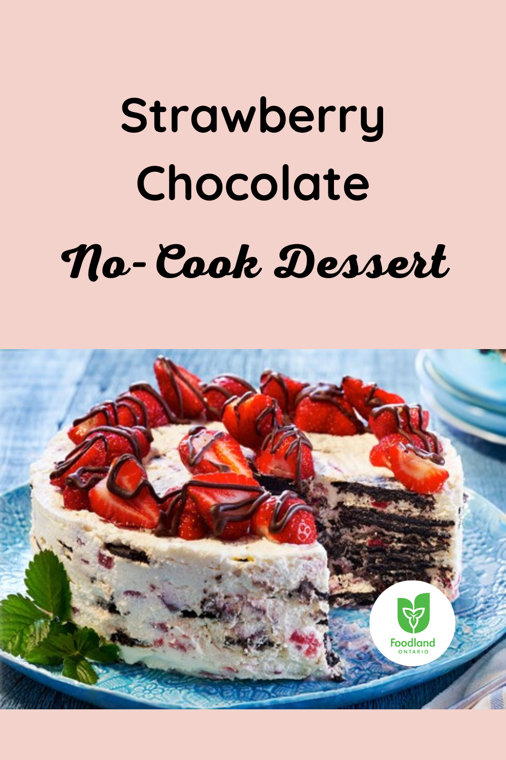 Strawberry Chocolate No-Cook Dessert
Strawberry Chocolate No-Cook Dessert
Make your dessert ahead of time with this tasty strawberry chocolate recipe, and pull it out of the fridge when you're ready to serve!

https://www.ontario.ca/foodland/recipes/strawberry-chocolate-no-cook-dessert