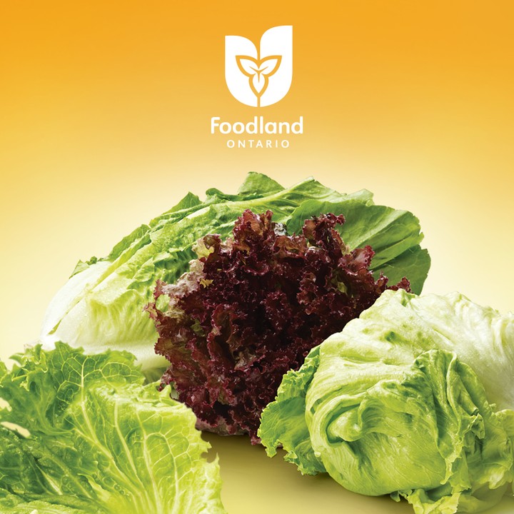 Did you know that Ontario Greenhouse Lettuce is available all year round? Enjoyed in a fresh crisp salad or incorporated into your favourite meal, what is your favourite way to use this versatile veggie? @ongreenhouseveg #loveONTfood #eatlocalfoodlandontario