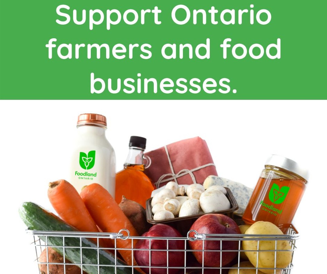 Now more than ever it is important to support Ontario farmers and agri-food businesses. Be sure to look for locally grown and produced food when grocery shopping this month and help support the local economy. #buylocal #loveONTfoodfoodlandontario