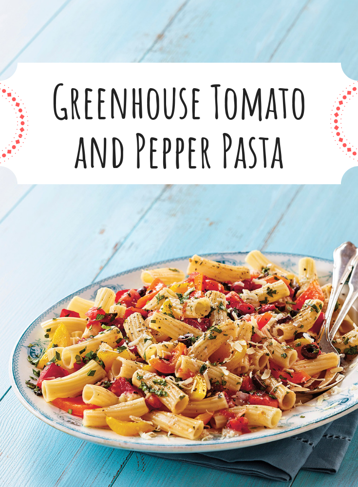 Greenhouse Tomato and Pepper Pasta
Greenhouse Tomato and Pepper Pasta
Keep your weeknight dinners fast and fresh with this Greenhouse Tomato and Pepper Pasta. Enjoy with crusty Ontario bread and add chicken if desired.

https://www.ontario.ca/foodland/recipes/greenhouse-tomato-and-pepper-pasta