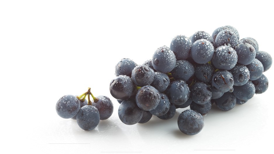 Coronation Blue Table Grapes are now in season in Ontario! Whether eaten off the stem, added to charcuterie boards, or incorporated into your favourite desserts, how do you enjoy Ontario Grapes?foodlandontario