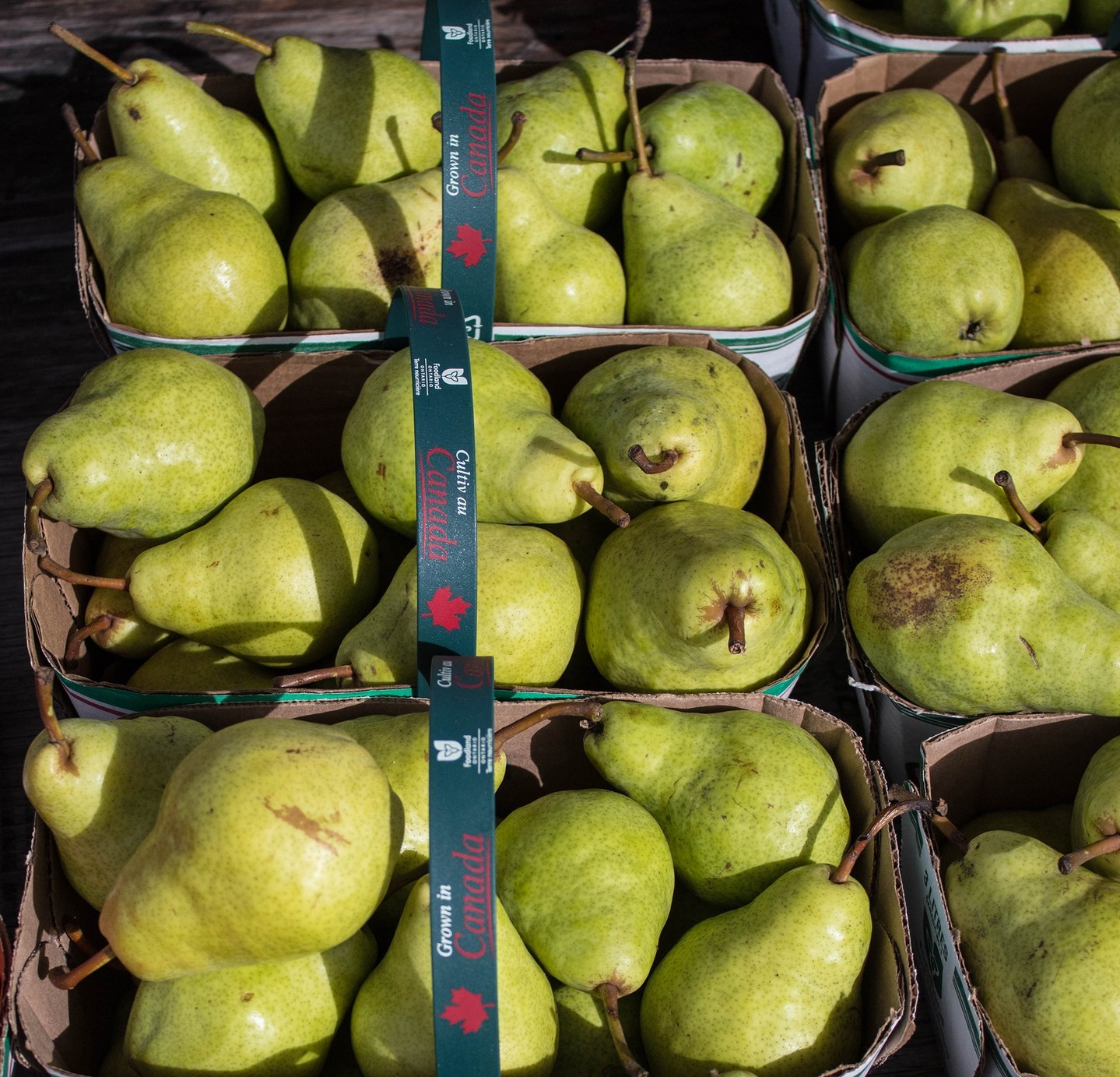 It's pear season in Ontario! Whether enjoyed on their own or incorporated into your favourite recipe, what is your favourite way to enjoy Ontario Pears? @OntTenderFruit #Pears #EatLocal #loveONTfoodfoodlandontario