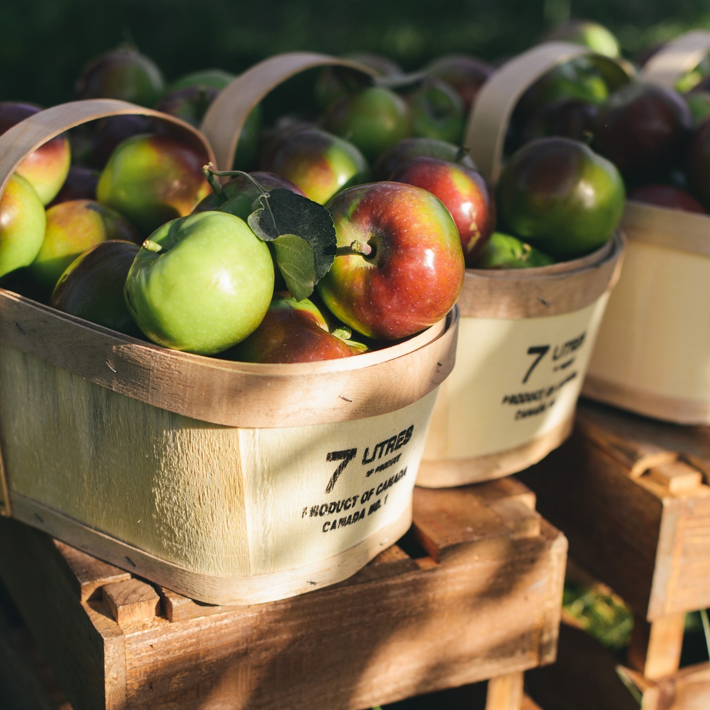Apples are so versatile! Whether on their own, as a snack, or baked into your favourite dish, what's your favourite way to enjoy Ontario apples?foodlandontario