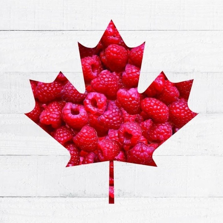 Looking for recipe inspiration for your Canada Day celebrations? 

Click the link in our bio for Canada Day recipe ideas!foodlandontario