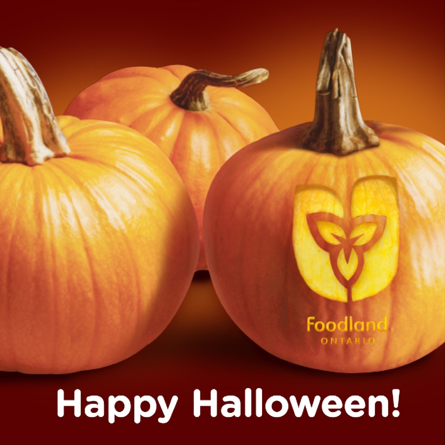 Happy Halloween!🎃👻 

Wishing everyone a spook-tacular day of fun with friends and family.foodlandontario
