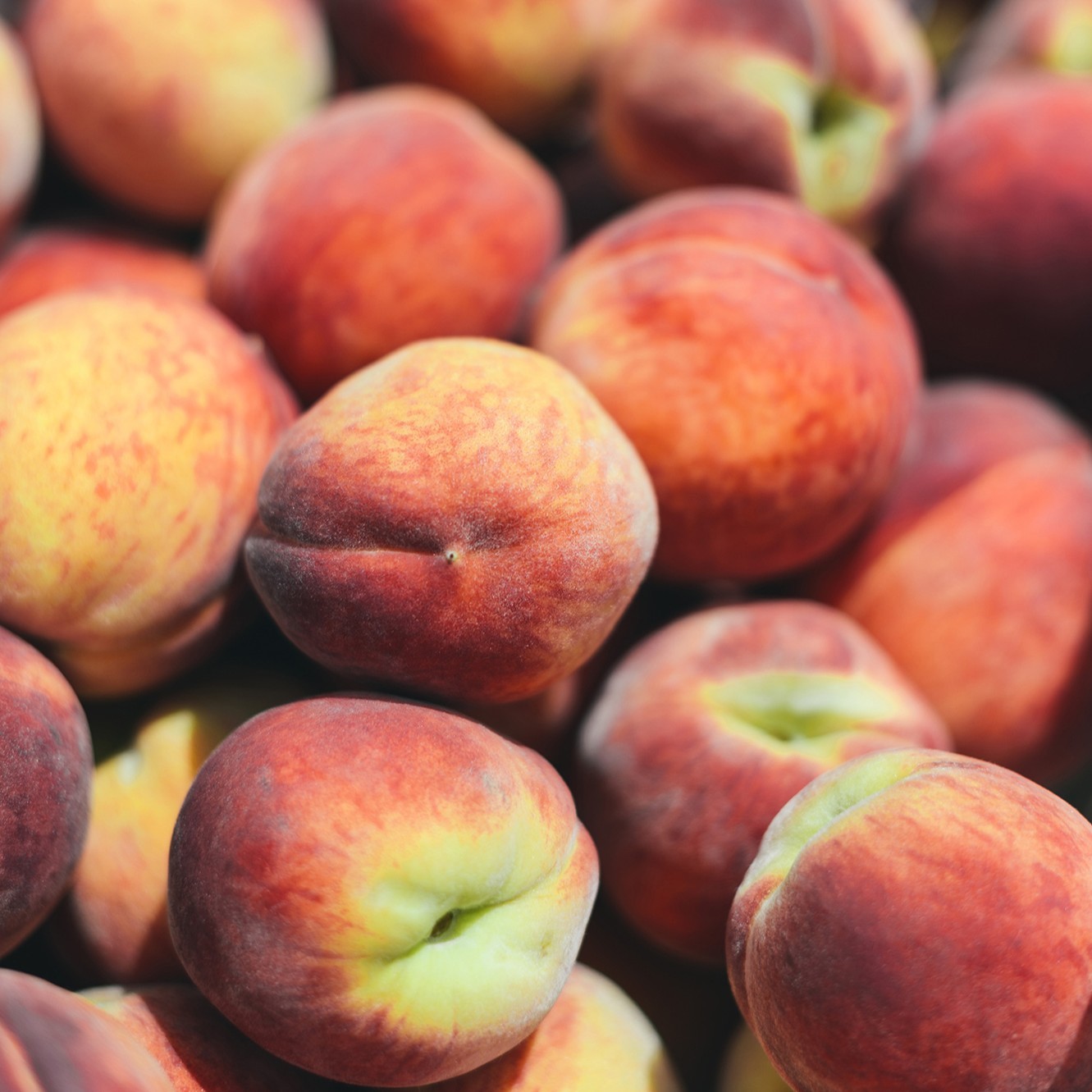 Perfect for cooking, baking, or an afternoon snack, Ontario peaches are delightfully versatile. See our website for recipes and more information. 
@onttenderfruitfoodlandontario