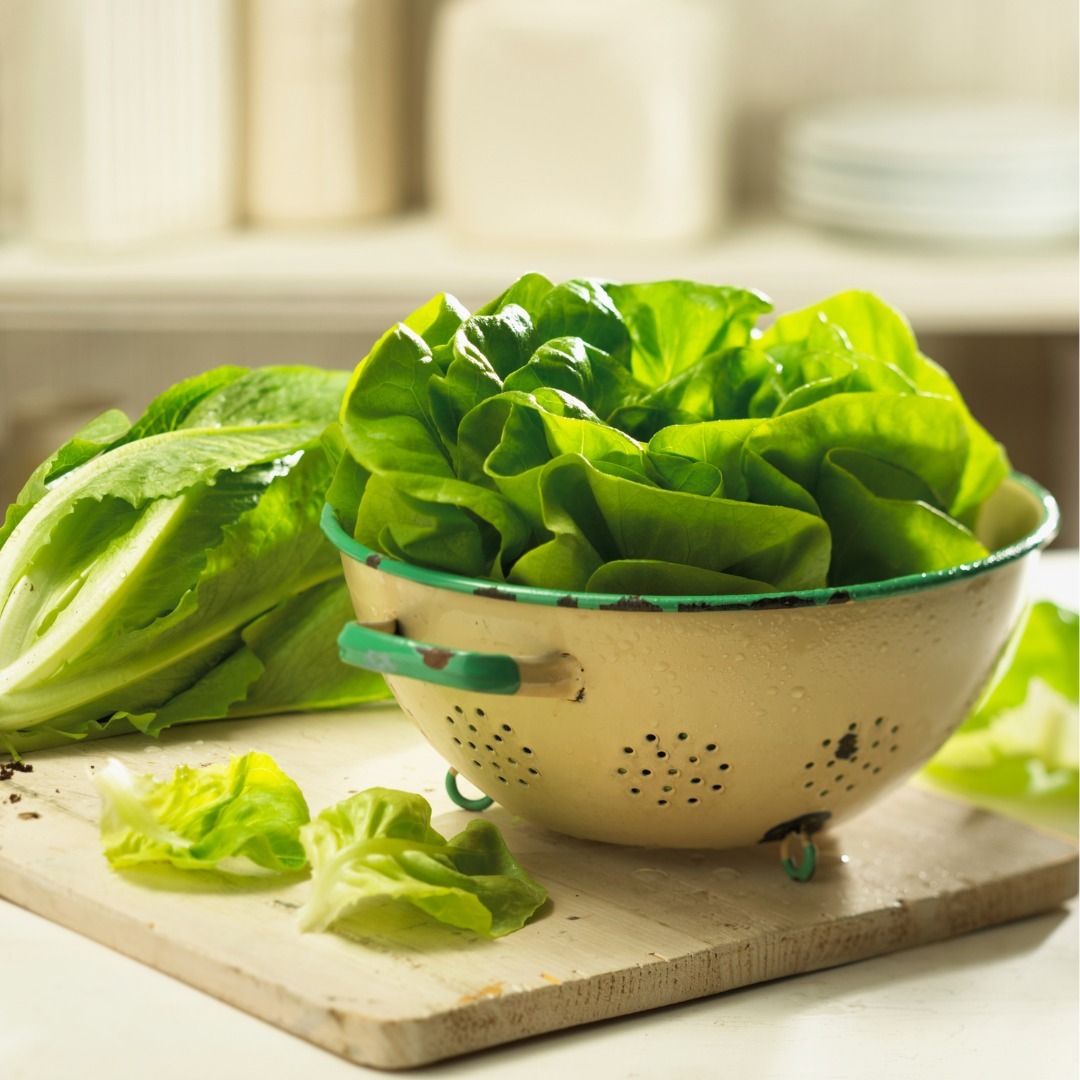 Lett-us transform your winter meals with Ontario Greenhouse Lettuce! Whether it's lending its crisp texture to salads or sandwiches, this veggie adds a touch of local green goodness. 💚

How do you love to incorporate this versatile veggie into your meals?foodlandontario