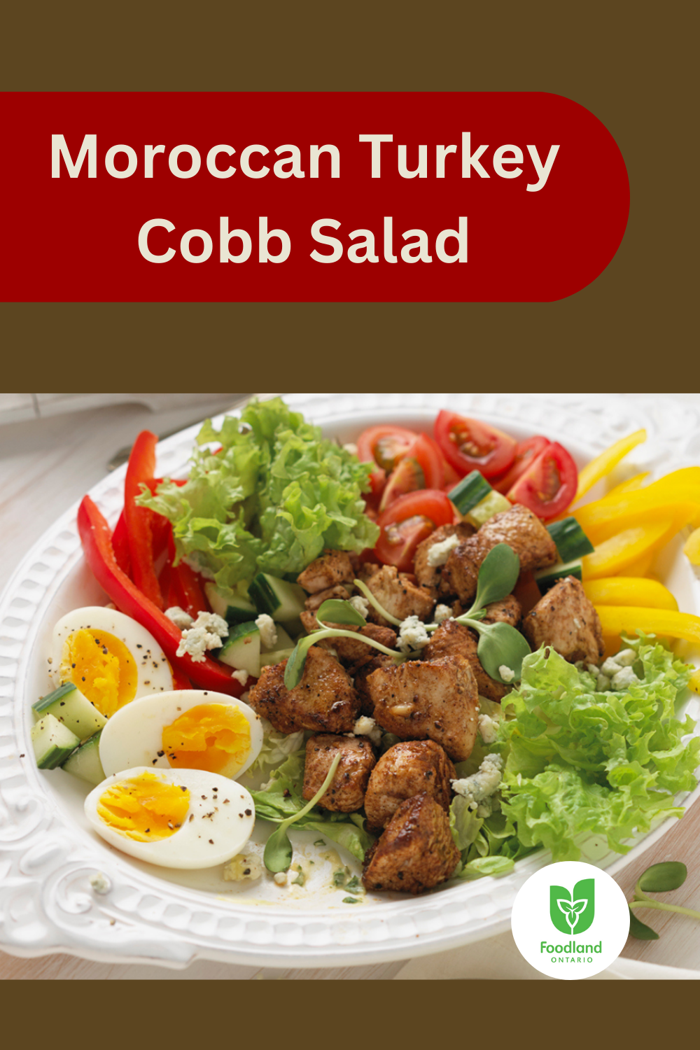 Moroccan Turkey Cobb Salad
Moroccan Turkey Cobb Salad
Moroccan spiced turkey adds a twist to this traditional Cobb salad. Make it today.

https://www.ontario.ca/foodland/recipes/moroccan-turkey-cobb-salad