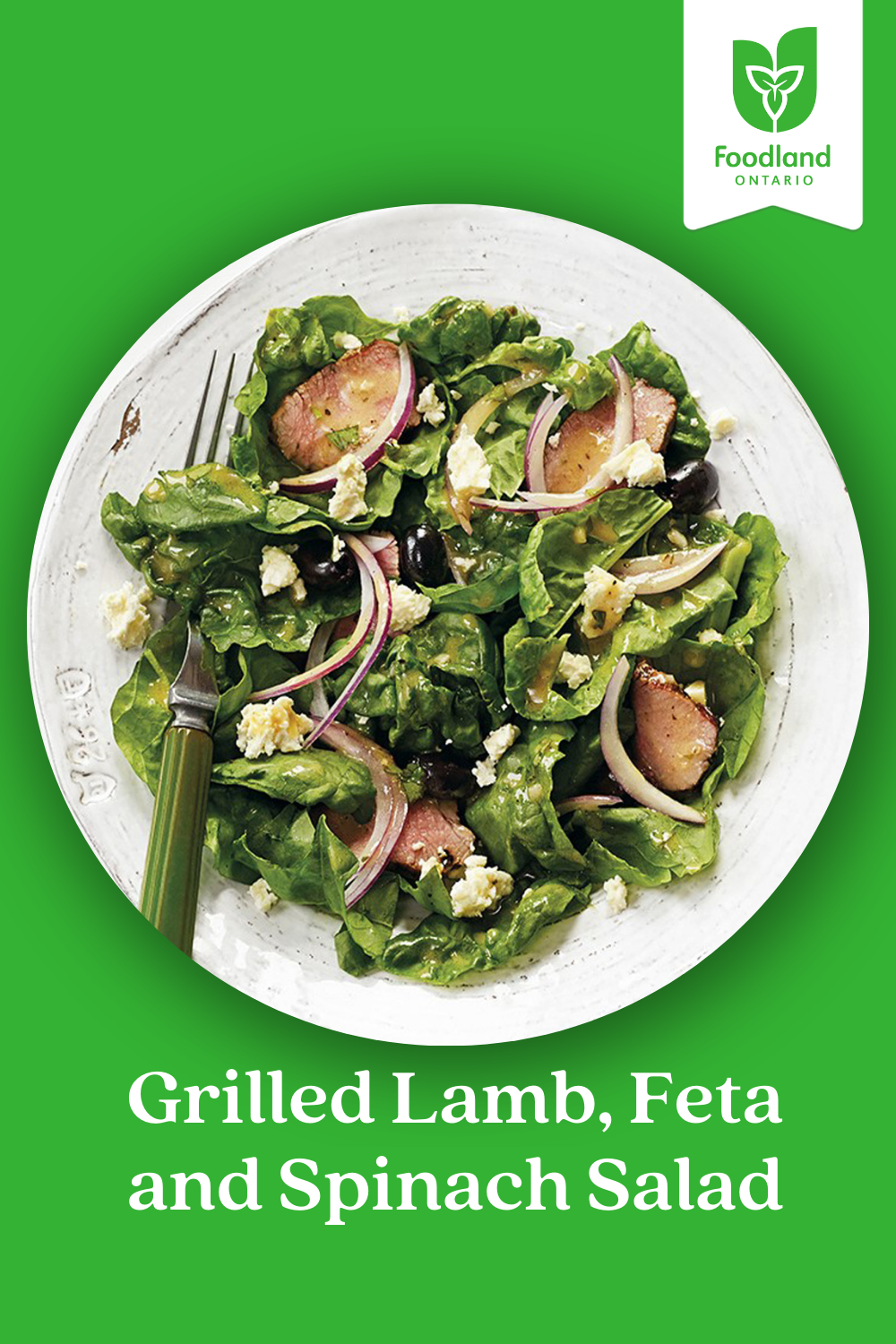 Grilled Lamb, Feta and Spinach Salad
Grilled Lamb, Feta and Spinach Salad
Shake-up your salad game for the arrival of fresh local produce this summer with this delicious Grilled Lamb, Feta and Spinach Salad.

https://www.ontario.ca/foodland/recipes/grilled-lamb-feta-and-spinach-salad