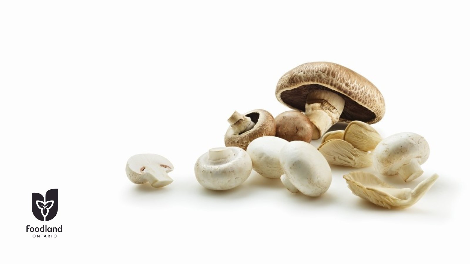 There are so many ways to enjoy in-season Ontario Mushrooms, from stuffed to sautéed and more.

 How do you enjoy mushrooms? 
https://t.co/AaKnT5jPEh
@mushroomscanada https://t.co/GqAujEunjP


https://bit.ly/3J1OGil
