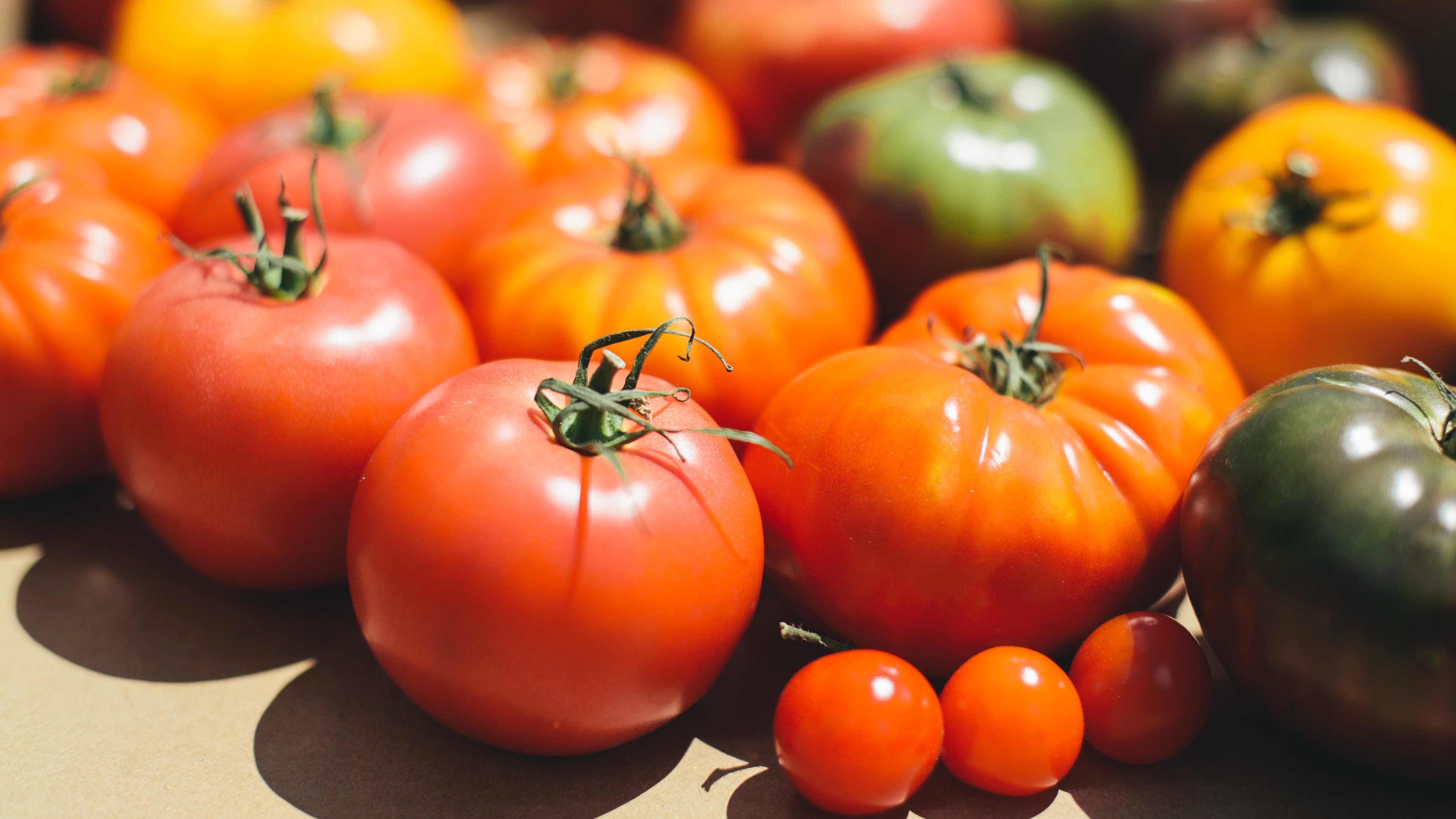 To ripen Ontario Field Tomatoes faster, place them in a brown paper bag with apples or pears. Both release a natural ethylene gas that speeds up the ripening process. #FoodHack #loveONTfood https://t.co/kdQC3geTAP