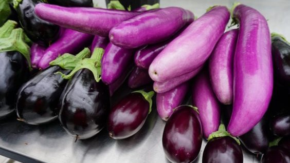 Ontario eggplant is now in season! To reduce bitterness, we recommend lightly salting the eggplant once cut and then letting it sit for 15 minutes before rinsing, drying and cooking.#FoodHack #loveONTfood
https://t.co/IrQJuY4aix https://t.co/Rjst8K56cz


https://www.ontario.ca/foodland/foodland-ontario