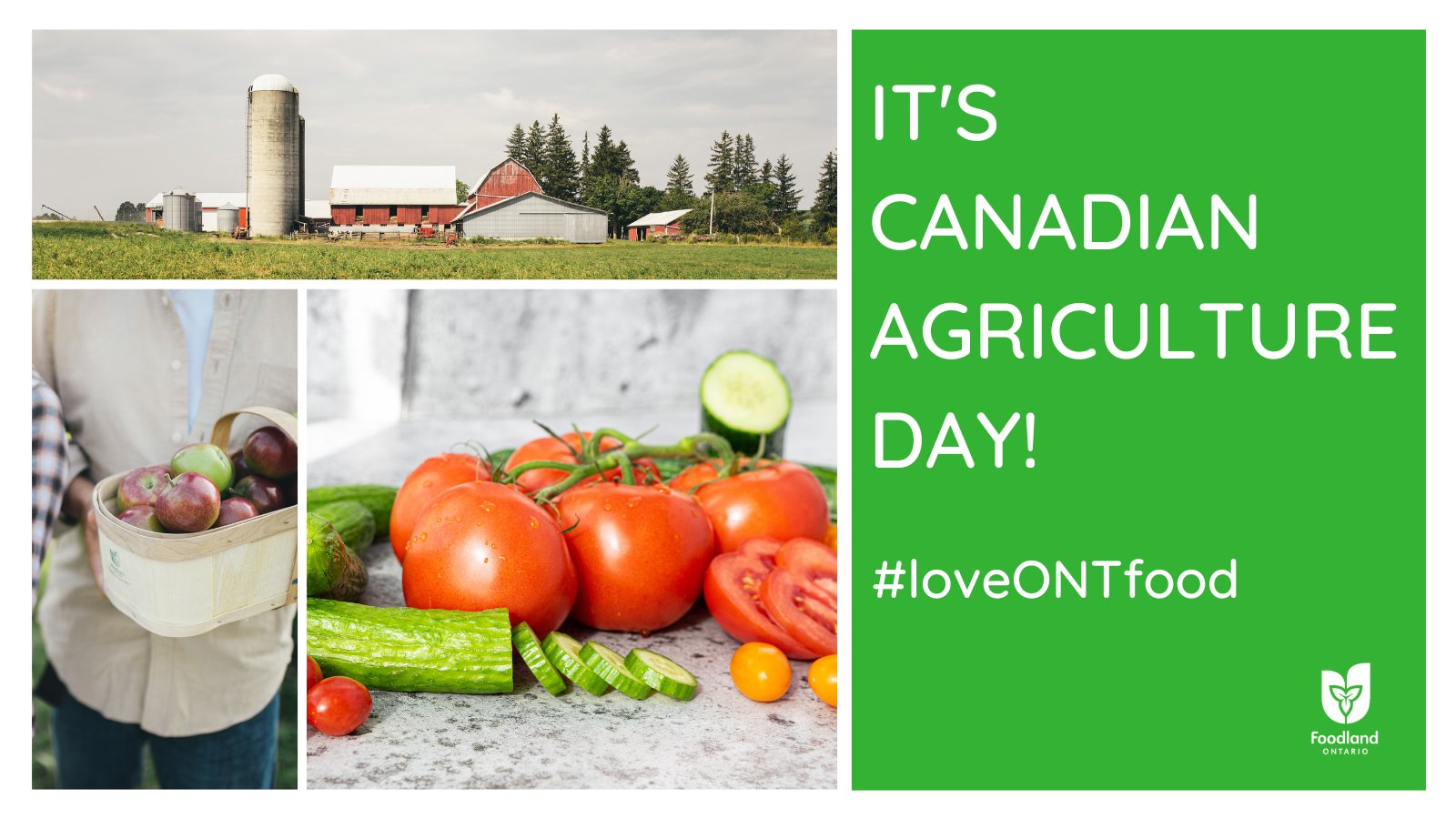 Happy Canadian Agriculture Day! 
Thank you to all our local farmers and growers for all the delicious food they provide.  #loveONTfood
https://t.co/xNP6gsdidB https://t.co/GahpvMDfMF


https://bit.ly/2NI1Ncp