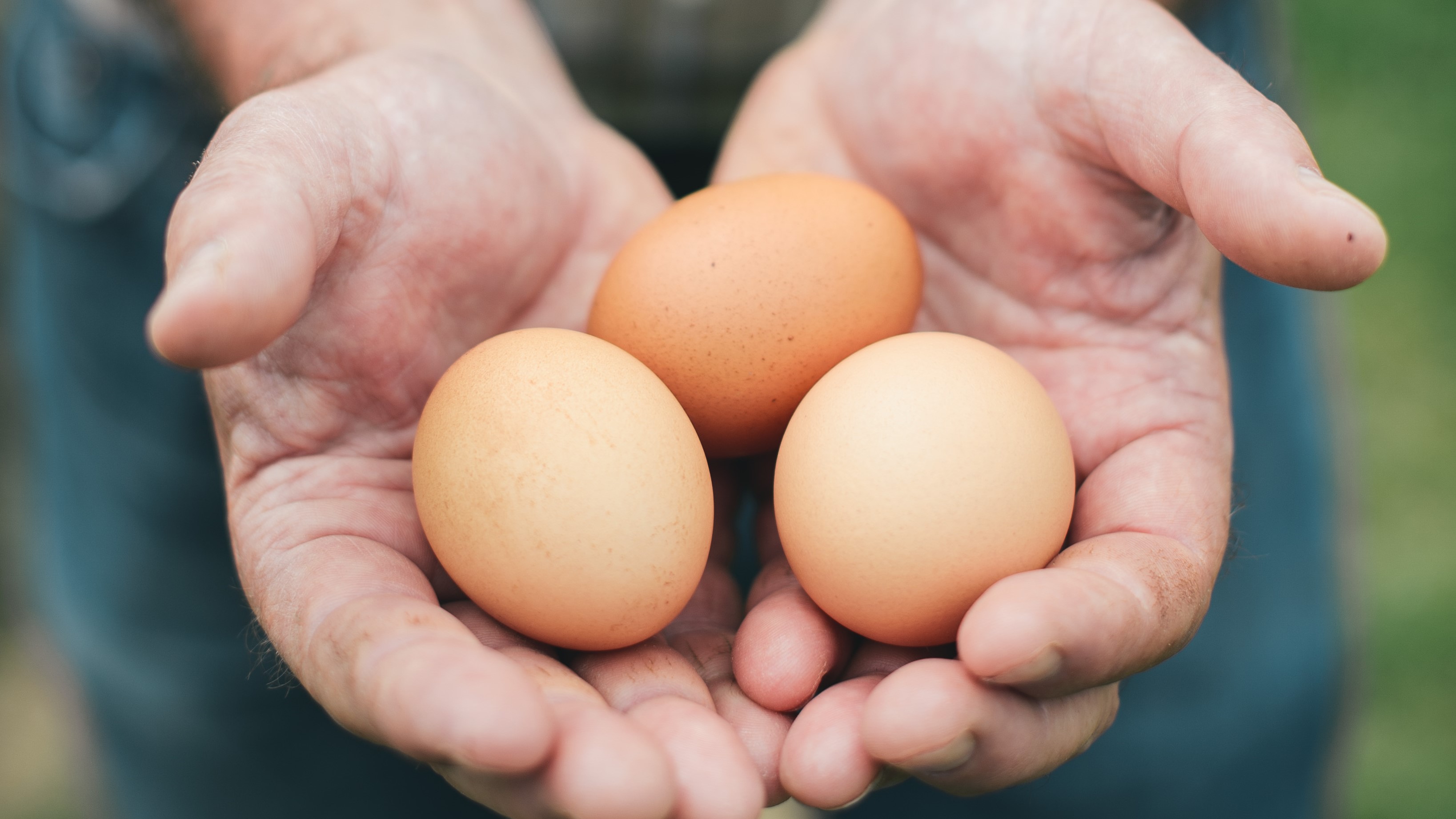 With fresh Ontario eggs in the fridge, you can make a fast, delicious and nutritious meal anytime. For egg-cellent recipe inspiration go to our website. 
#EatLocal
https://t.co/ZJqunBty2T
@GetCracking https://t.co/XCj8hxKcSI


https://bit.ly/3MFs8FP