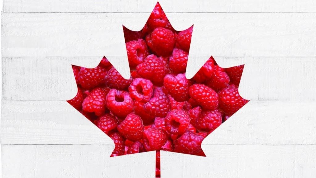 Looking for recipe inspiration for your Canada Day celebrations? 

Visit https://t.co/IrQJuXMzqZ for Canada Day recipe ideas! https://t.co/ERNKzYCf5R


https://www.ontario.ca/foodland/foodland-ontario