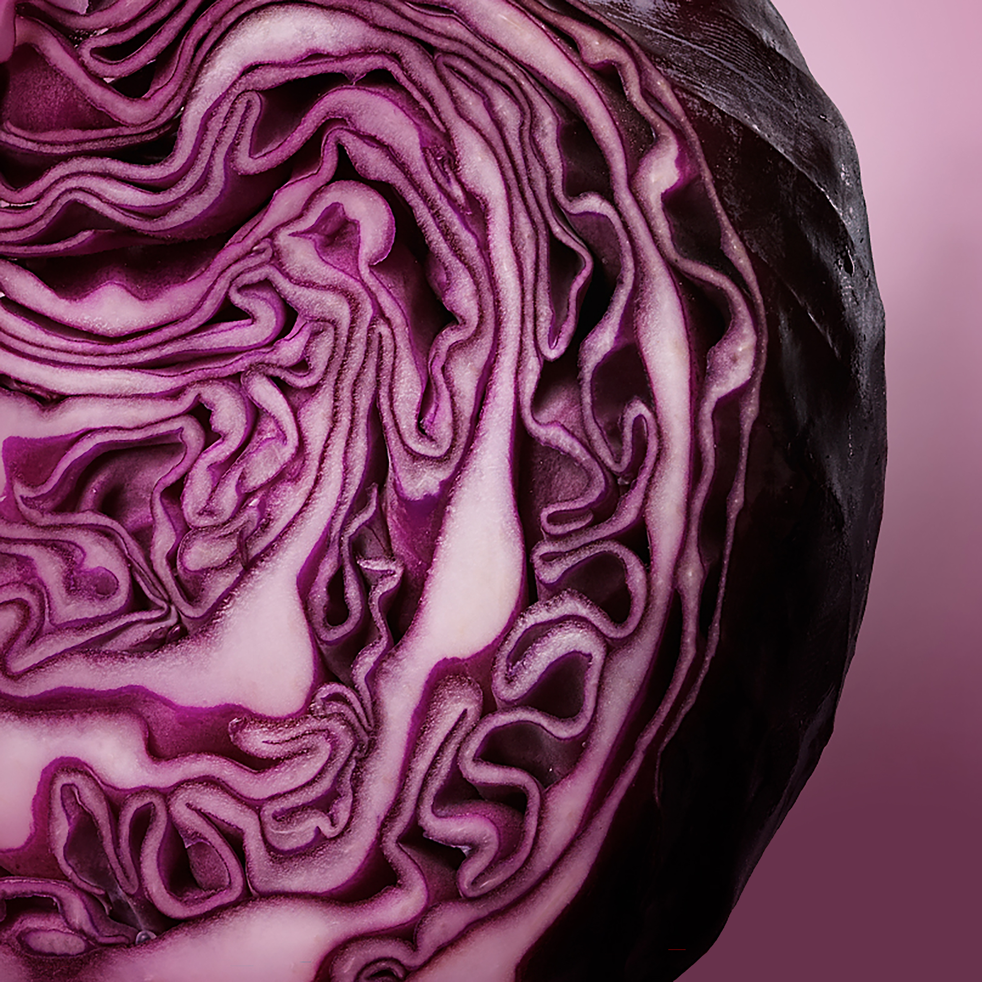 Cabbage is a great way to add a hint of crisp freshness to your winter salads. 

What's your favourite way to enjoy Ontario Cabbage?
https://t.co/DAIEEwu2S2
#loveONTfood https://t.co/RoURNtziP8


https://www.ontario.ca/foodland/food/cabbage