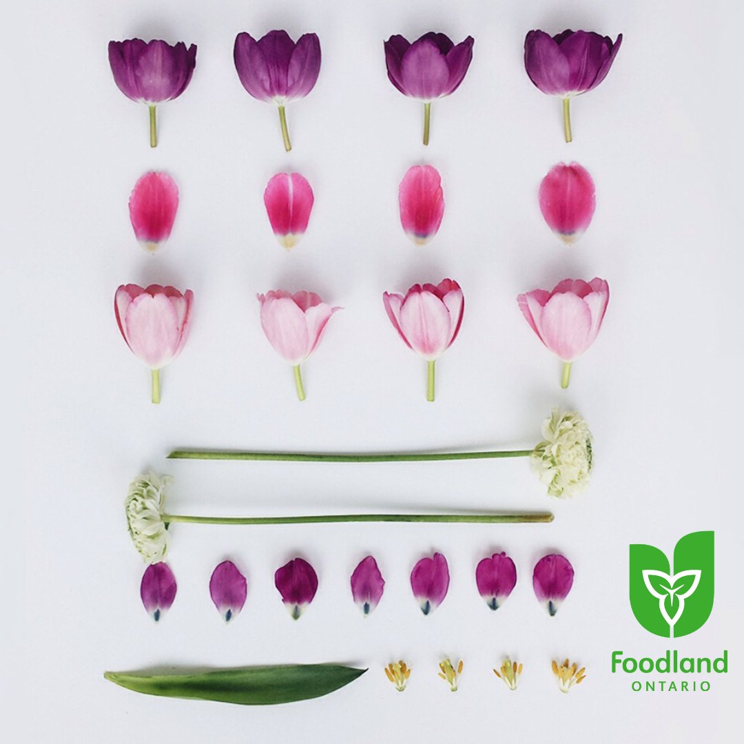 Happy Valentine's Day! ❤️

Give the gift of local with a bouquet of Ontario Flowers. 💐
https://t.co/wNEDhF4XtQ
@PickOntario https://t.co/yjJ3n6woRq


https://bit.ly/3jSBfIN