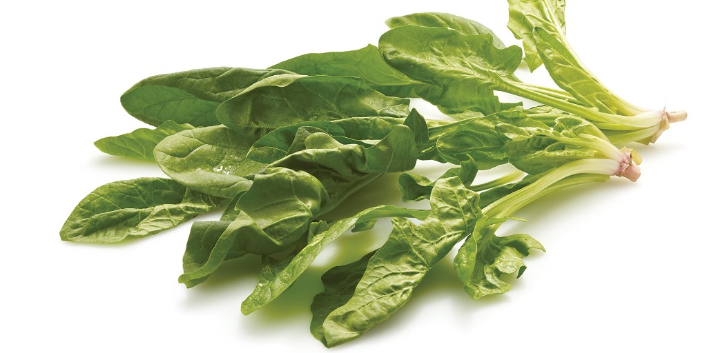 Spinach is a great addition to salads, smoothies, omelettes and pastas. What is your favourite way to enjoy this excellent leafy green?
https://t.co/h6KJ6LC3Ww https://t.co/Ji5PpNVthY


https://www.ontario.ca/foodland/food/spinach