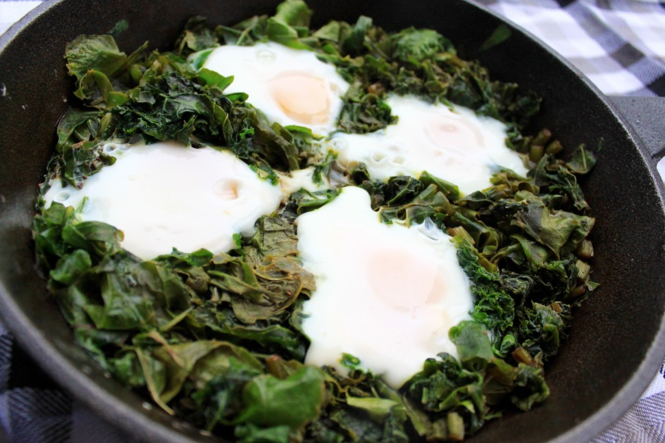 Page 208: A recipe for greens shakshuka - Grub by Eating Niagara
As if breakfast for dinner could get better, this shakshuka made with Ontario Kale and Eggs takes things up a notch.

http://eatingniagara.com/2015/07/page-208/