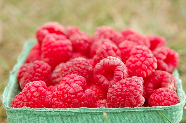 Raspberries are in-season for all you sweet-yet-tart loving foodies! Share a pic of your favourite raspberry creations for summertime.