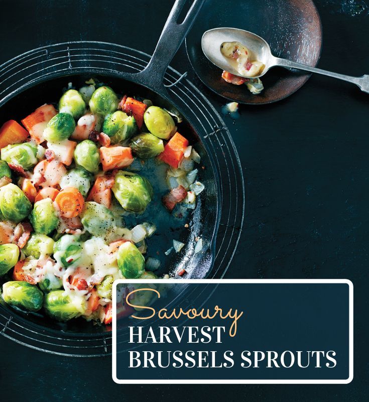 Savoury Harvest Brussels Sprouts
Savoury Harvest Brussels Sprouts
Here's a new side dish you can try. Let us know your tips and tricks for making the best Ontario Brussels Sprouts.

https://www.ontario.ca/foodland/recipes/savoury-harvest-brussels-sprouts