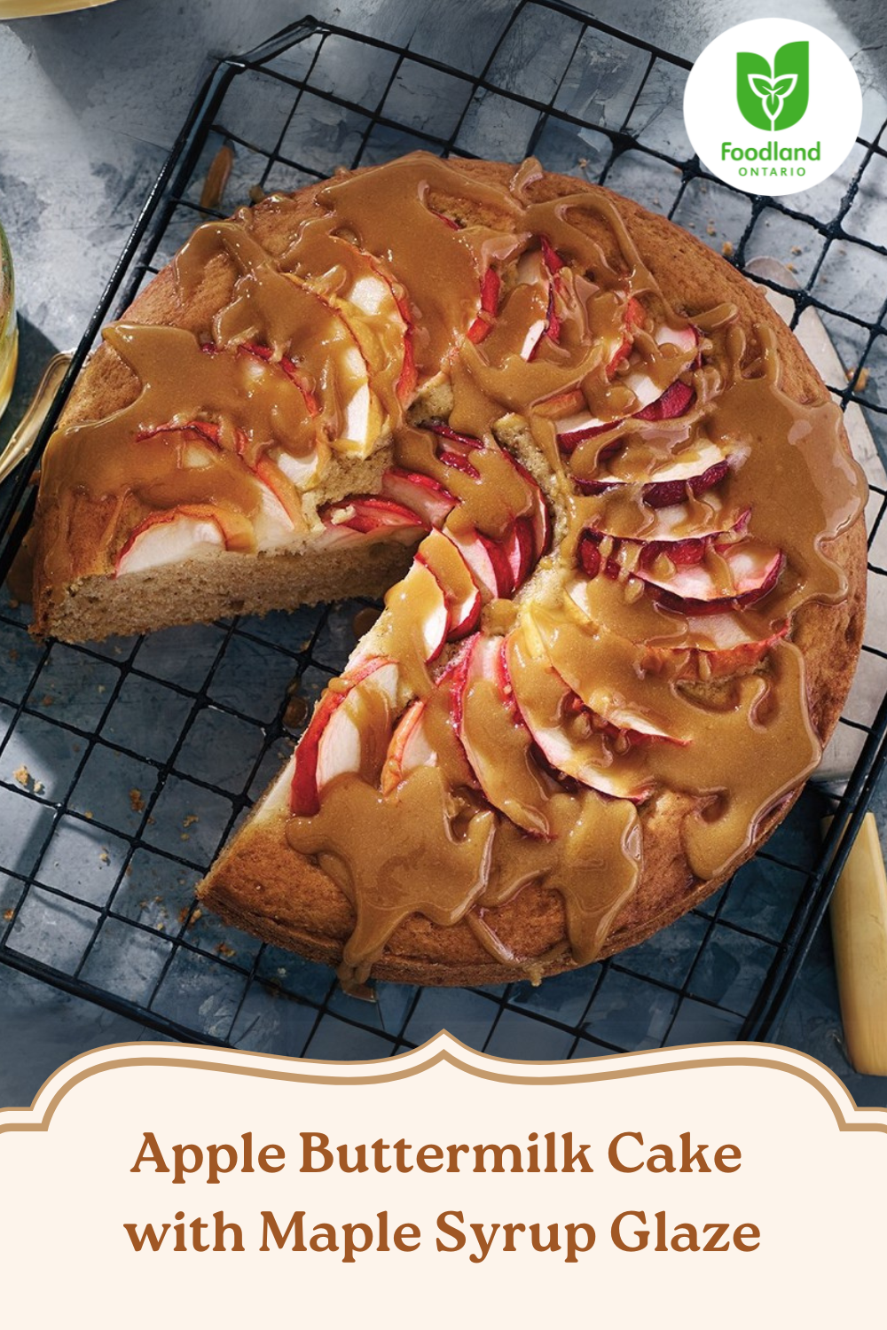 Apple Buttermilk Cake with Maple Syrup Glaze
Apple Buttermilk Cake with Maple Syrup Glaze
Indulge in Apple Buttermilk Cake with Maple Syrup Glaze! Sliced apples with a rich maple glaze create a stunning pinwheel on top of a nutmeg-scented buttermilk cake. Delicious with or without the glaze, and perfect with Ontario McIntosh, Northern Spy, or Cortland Apples.
https://www.ontario.ca/foodland/recipes/apple-buttermilk-cake-maple-syrup-glaze
