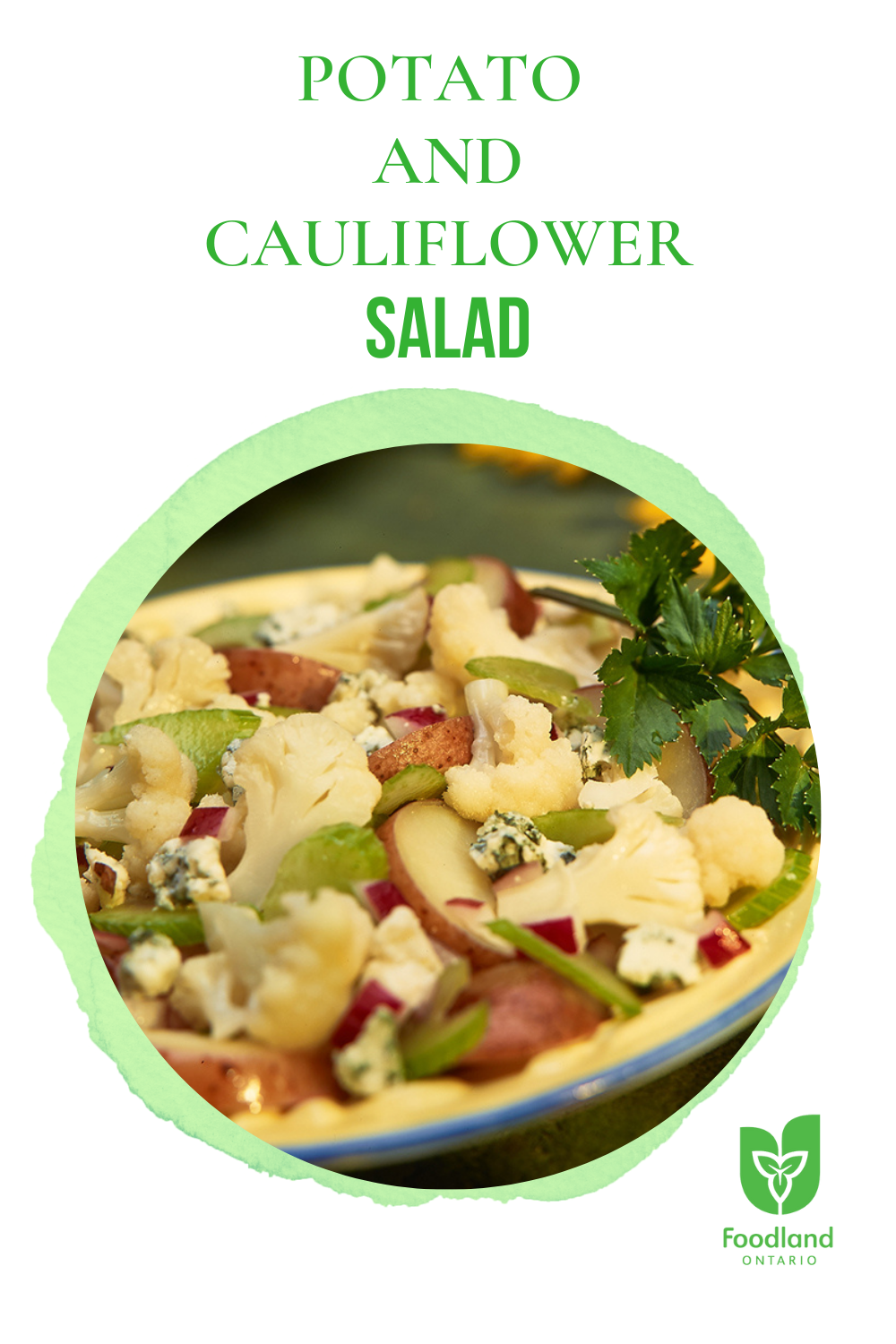 Potato and Cauliflower Salad
Potato and Cauliflower Salad
Looking for a new, fast and easy salad recipe? Cauliflower and potatoes combine with a zesty horseradish and blue cheese dressing in this salad which is best served at room temperature for maximum flavour.
https://www.ontario.ca/foodland/recipes/potato-and-cauliflower-salad