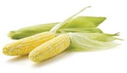 Gacor77 : Pentolan Situs GG Soft Game Terbaru Yang Lagi Viral
There's nothing quite like fresh corn on the cob. If you're getting yours from a local farm or market think about taking a cooler so you can keep the corn moist and cool on the way home. Then, refrigerate immediately in a plastic bag and you'll have crisp, sweet corn for up to three days.

http://ontariofarmfresh.com/consumers/whats-in-season-sweet-corn/