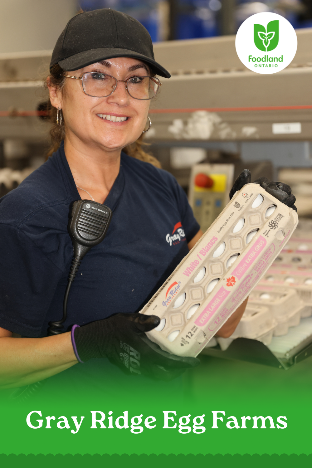 Gray Ridge Egg Farms
Gray Ridge Egg Farms
Farm-Fresh Goodness: Shoutout to Gray Ridge Egg Farms!

Gray Ridge Egg Farms is now one of the largest egg companies in Ontario, with grading stations in Strathroy and Listowel. They work closely with local farmers to source fresh eggs, bringing them straight from the hen house to your home.
 
Next time you shop at your grocery store, look for Ontario eggs!

https://www.grayridge.com/